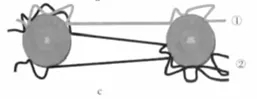04.webp.jpg